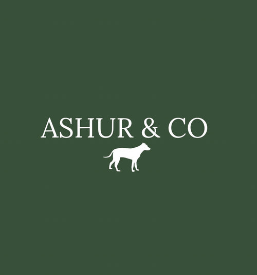 ASHUR & CO – ASHUR & CO